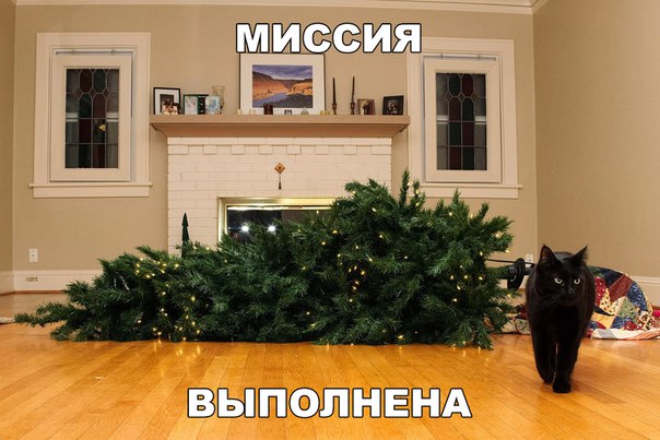 Прикол