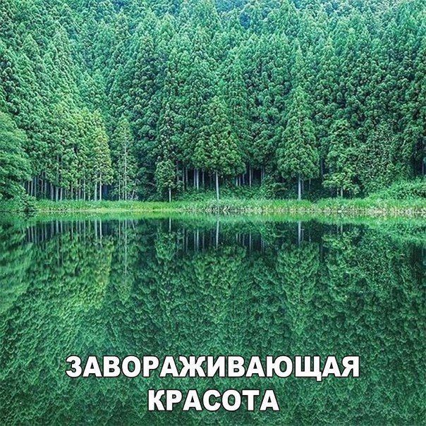 Прикол