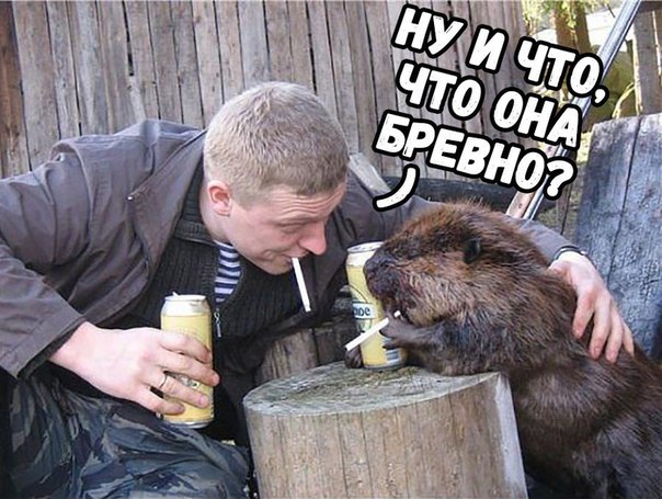 Прикол