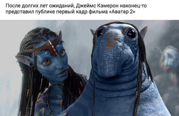 Прикол