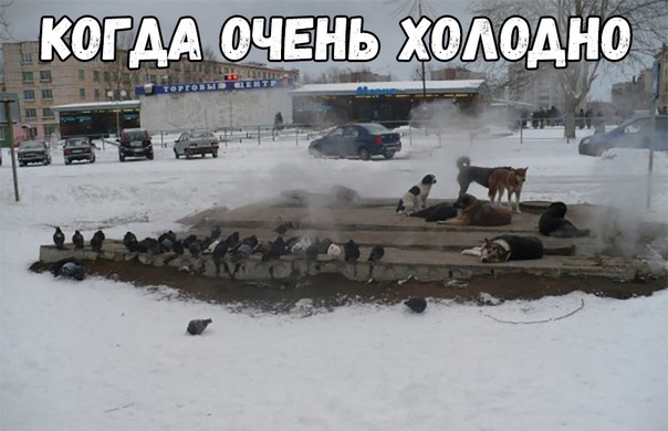 Прикол