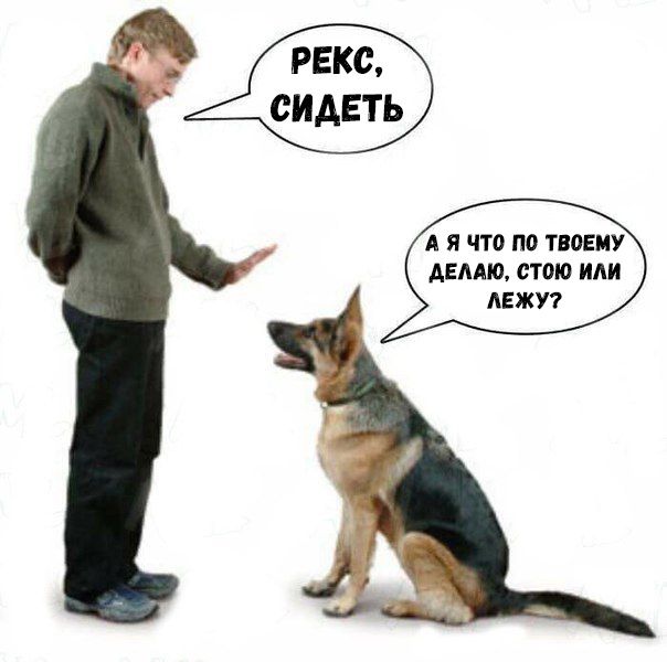 Прикол