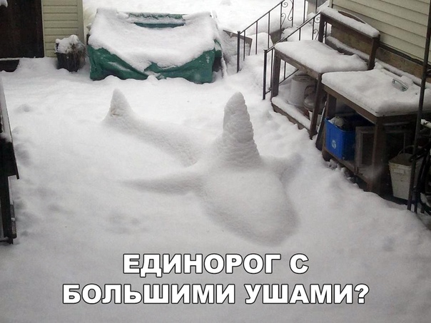 Прикол