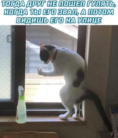 Прикол