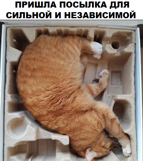 Прикол