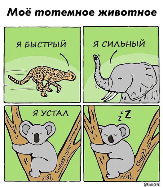 Прикол