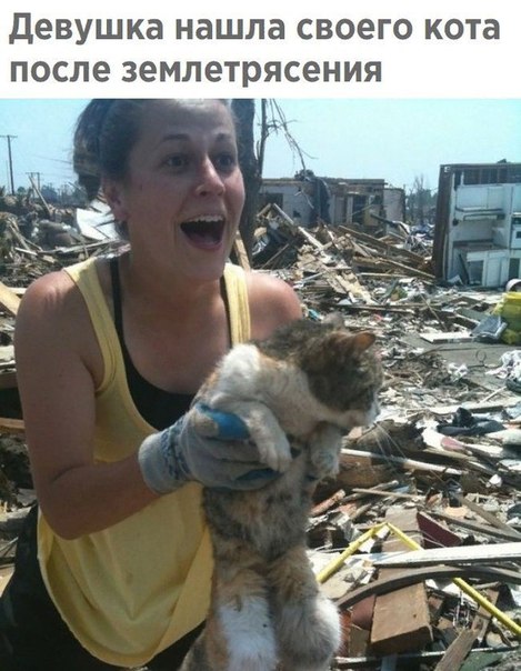 Прикол