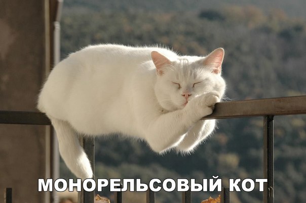 Прикол