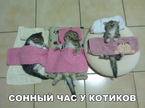 Прикол