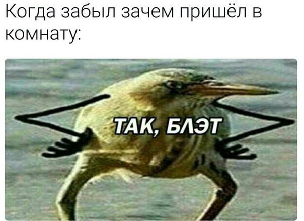 Прикол