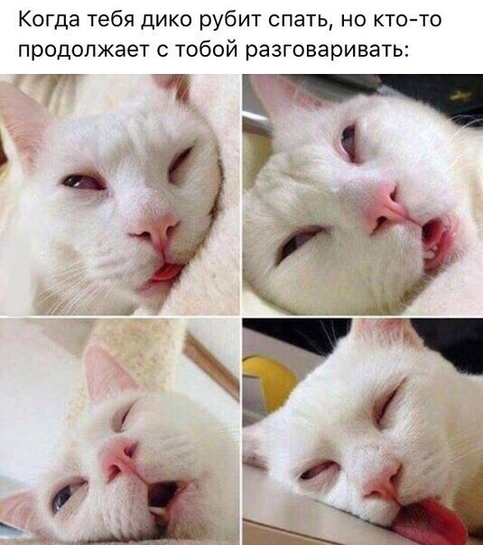Прикол