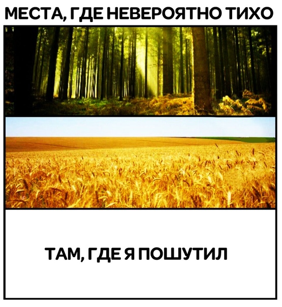 Прикол