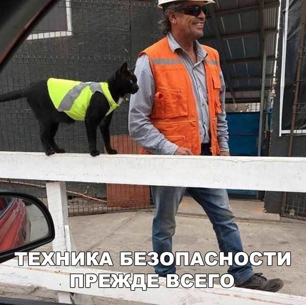 Прикол