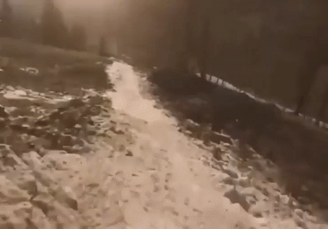 Прикол