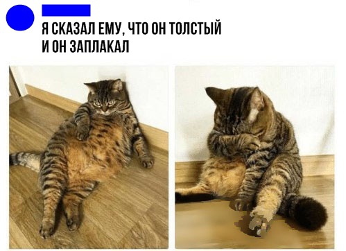 Прикол