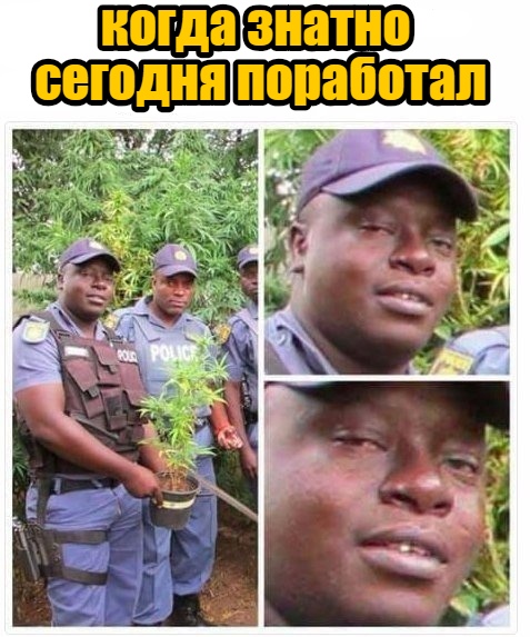 Прикол