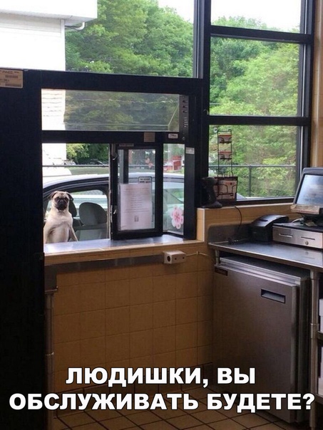 Прикол