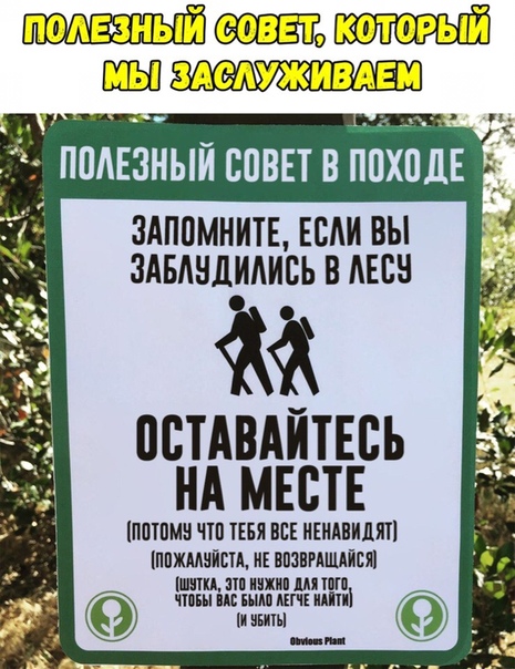 Прикол