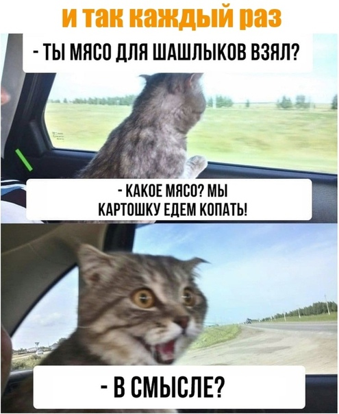 Прикол