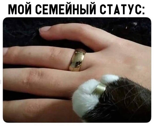 Прикол