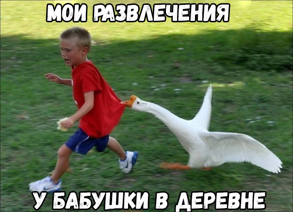 Прикол