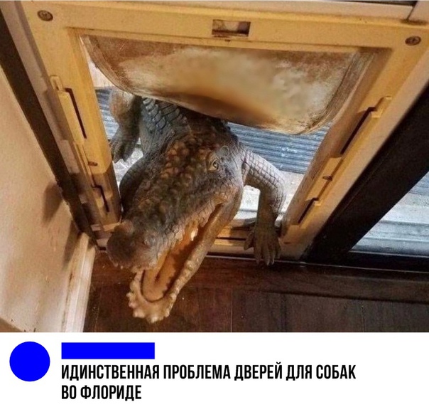 Прикол