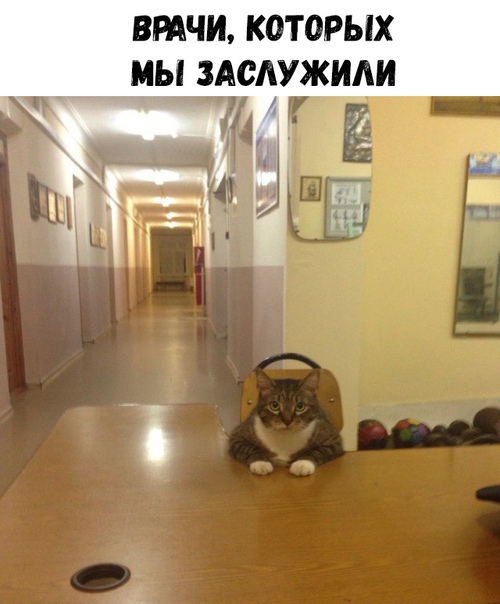 Прикол
