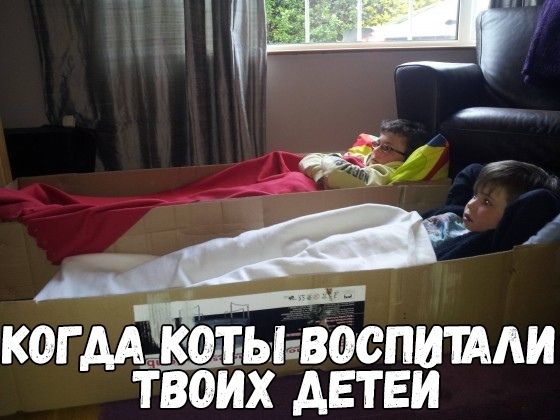 Прикол