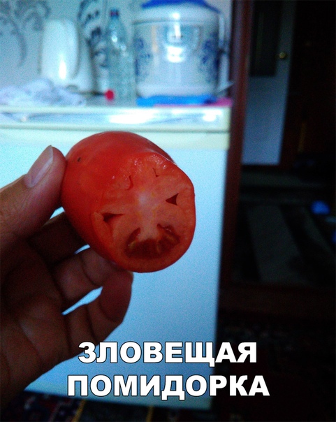 Прикол