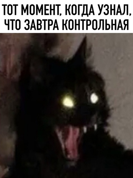 Прикол
