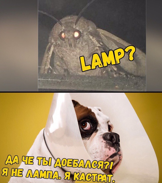 Прикол