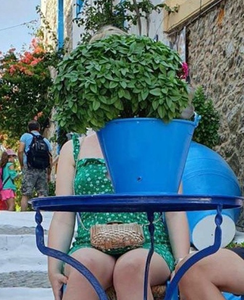 Прикол