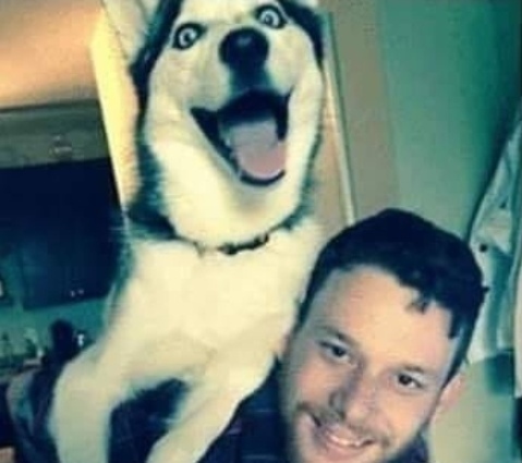 Прикол