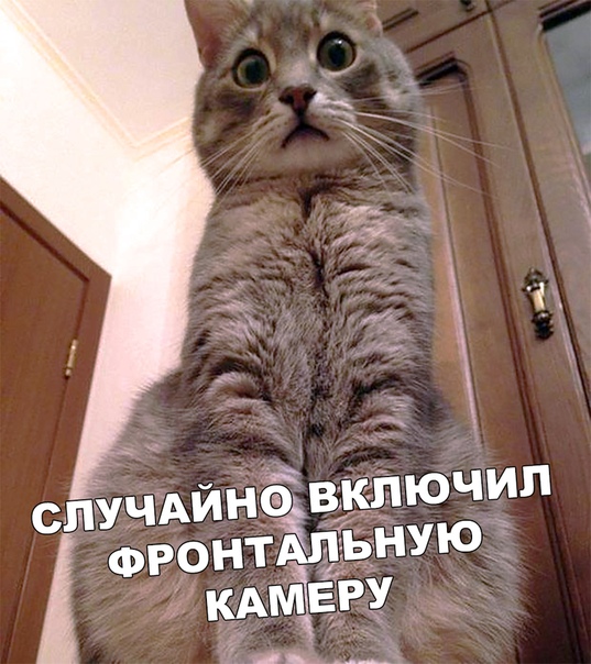 Прикол