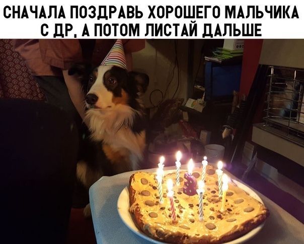 Прикол