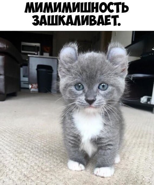 Прикол