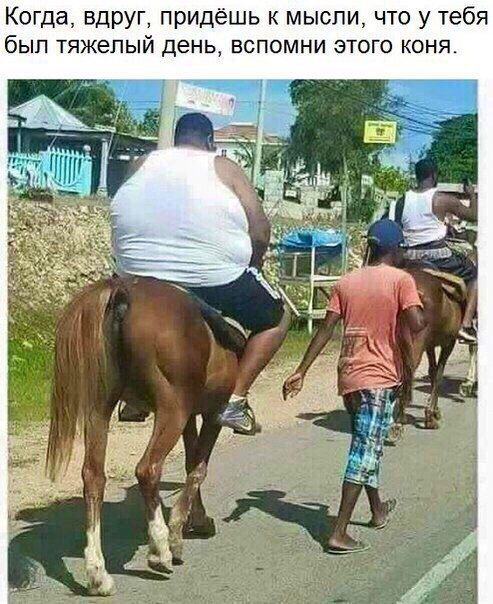 Прикол