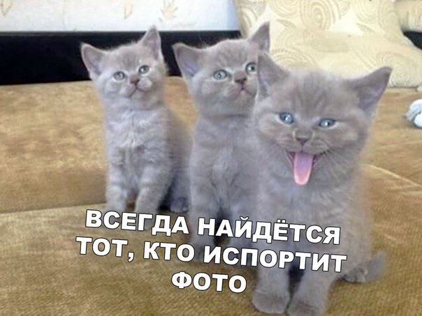 Прикол