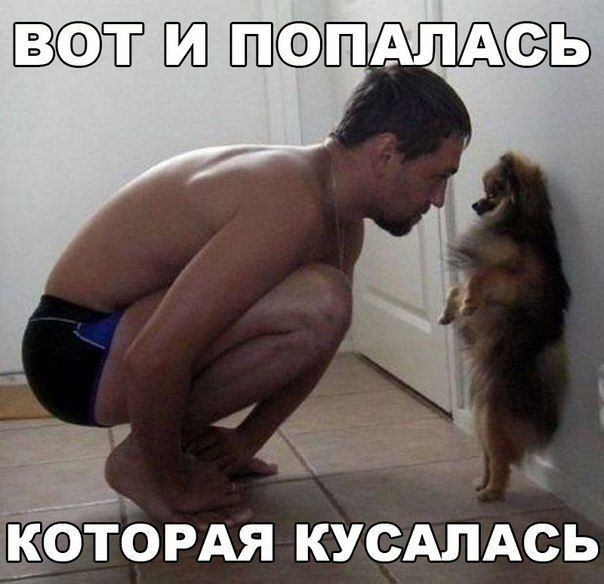 Прикол