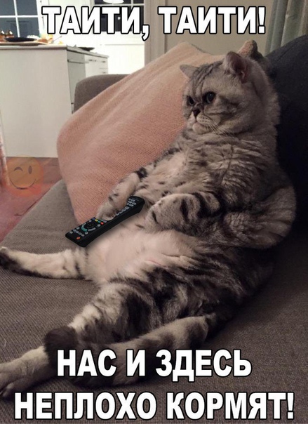 Прикол