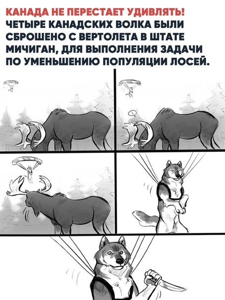 Прикол