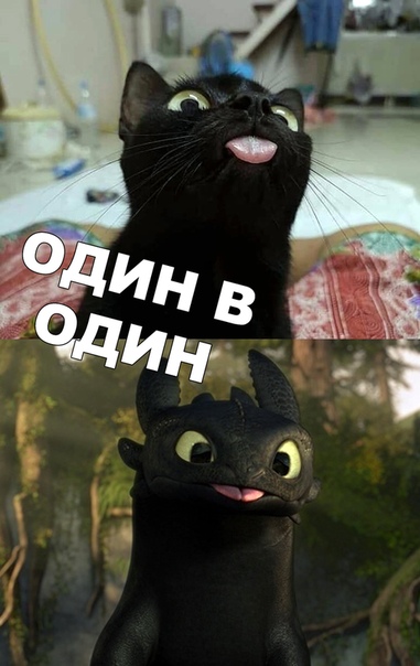 Прикол