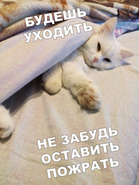 Прикол