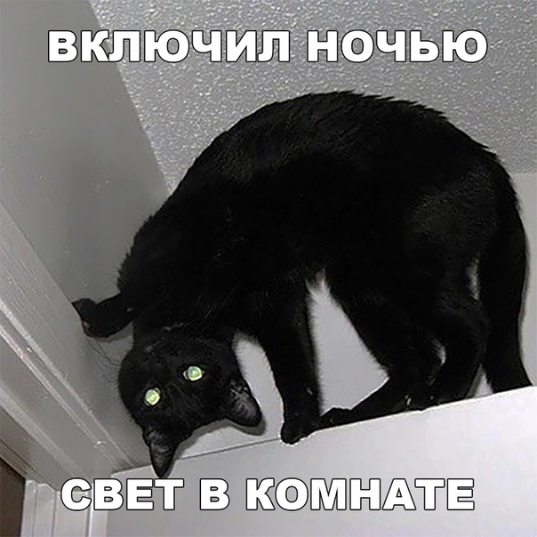 Прикол