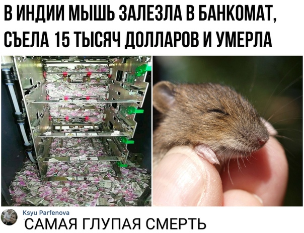 Прикол