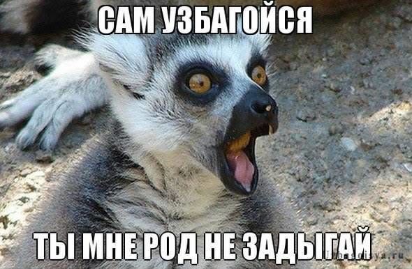 Прикол