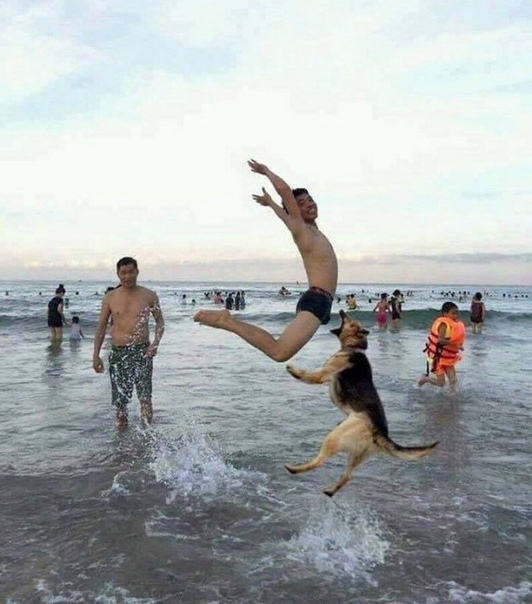 Прикол