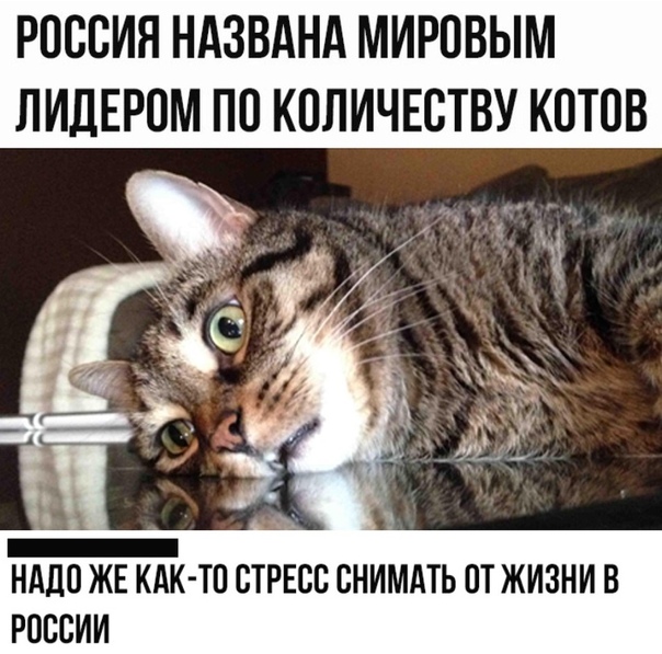 Прикол