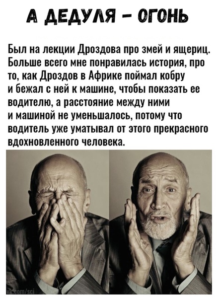 Прикол