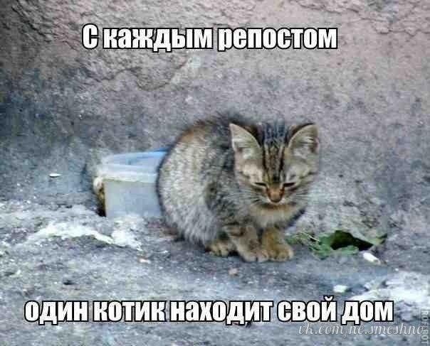 Прикол